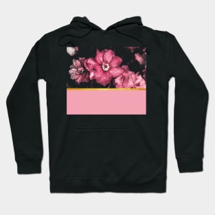 Pink flowers 2 Hoodie